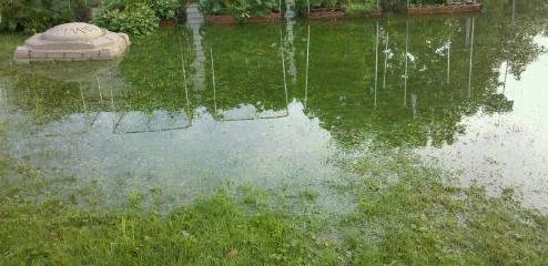 Actual flooded lawn, casued by broken sprinkler head